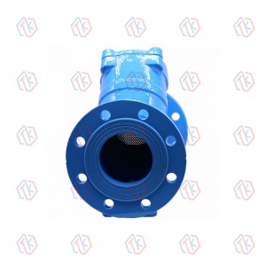 Y型法蘭過濾器